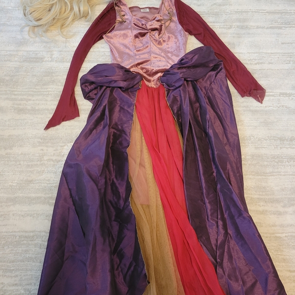 Large Kids Hocus Pocus Sarah Sanderson Costume - Picture 1 of 7